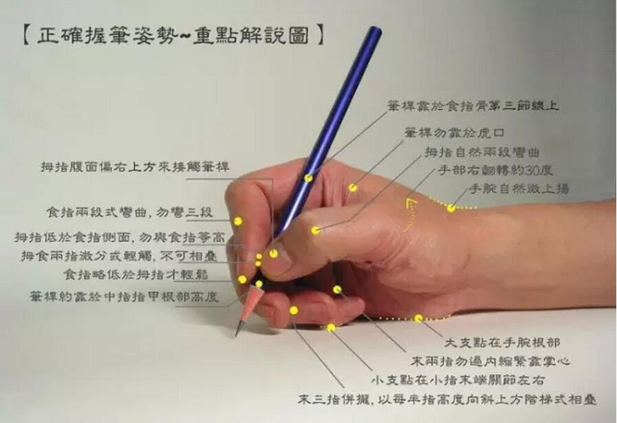 网络订餐平台需负起监管责任“威斯尼斯wns888入口app”